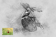Quick pencil sketch photo effect, an Action Add-On by Shovajit (Thumbnail 2 of 7)
