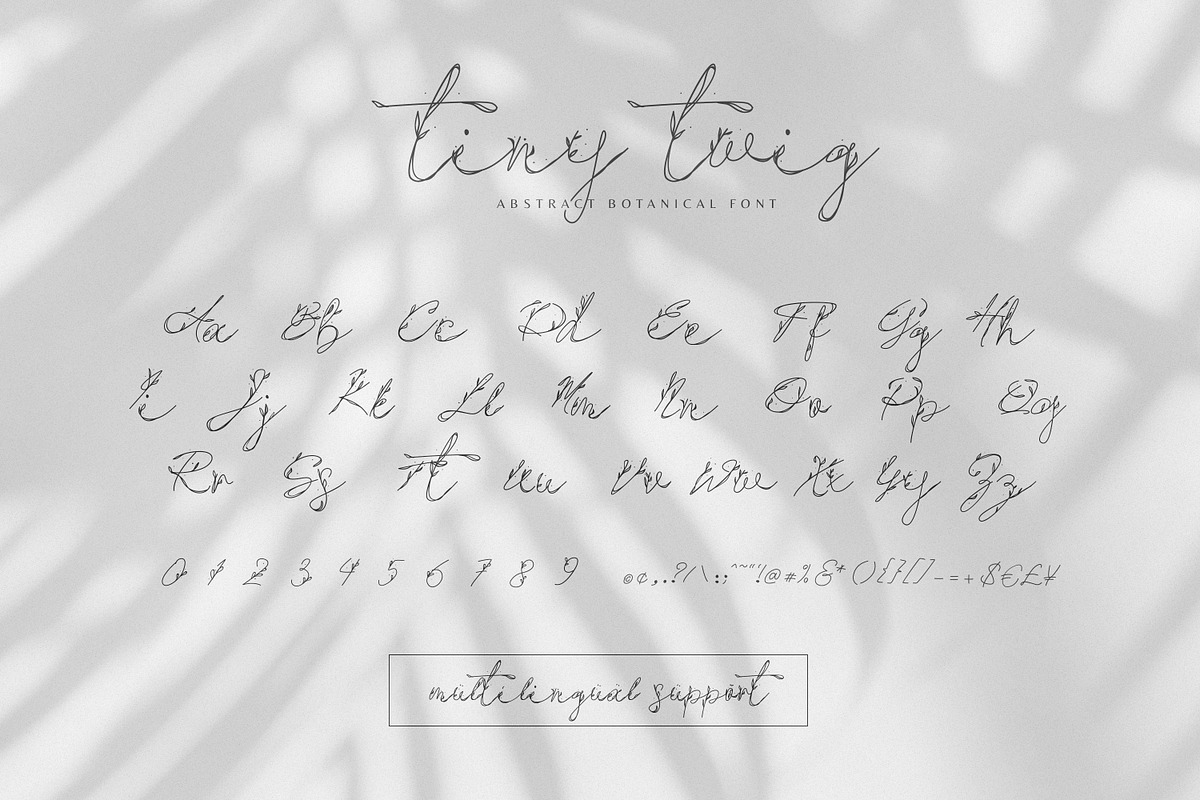 Tiny Twig - Botanical Display Font, a Handwritten Font by AndrewPixelType (Photo 3 of 7)
