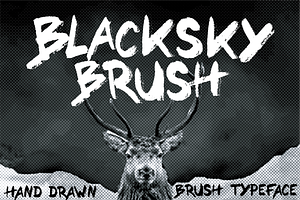 BLACKSKY BRUSH Hand Drawn Typeface