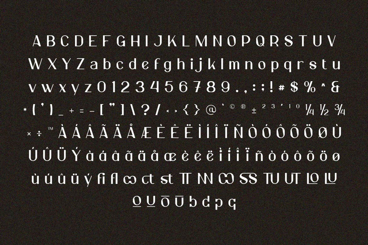 Elonny Minimalist Sans, a Sans Serif Font by Artiveko (Photo 2 of 8)