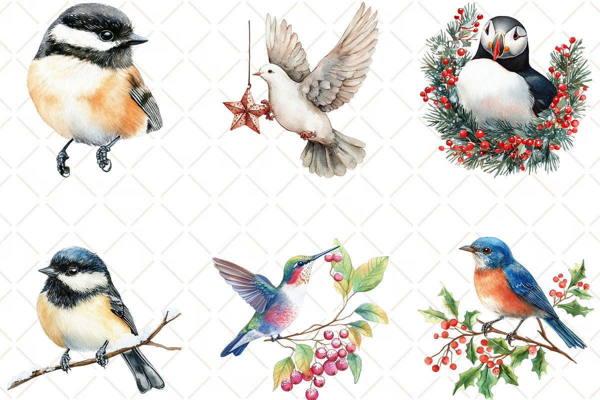 Winter Birds Christmas Clipart, an Illustration by Black Bird Studio (Photo 2 of 6)