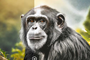 Cinematic Real-Skin Retouch FX, an Action Add-On by Studio Retouch (Thumbnail 15 of 16)