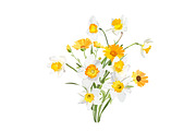 Daffodils Bouquets., an Object Graphic by Peolla (Thumbnail 3 of 9)