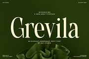 Grevila - Condensed Serif Font, a Serif Font by Say Studio (Thumbnail 1 of 10)