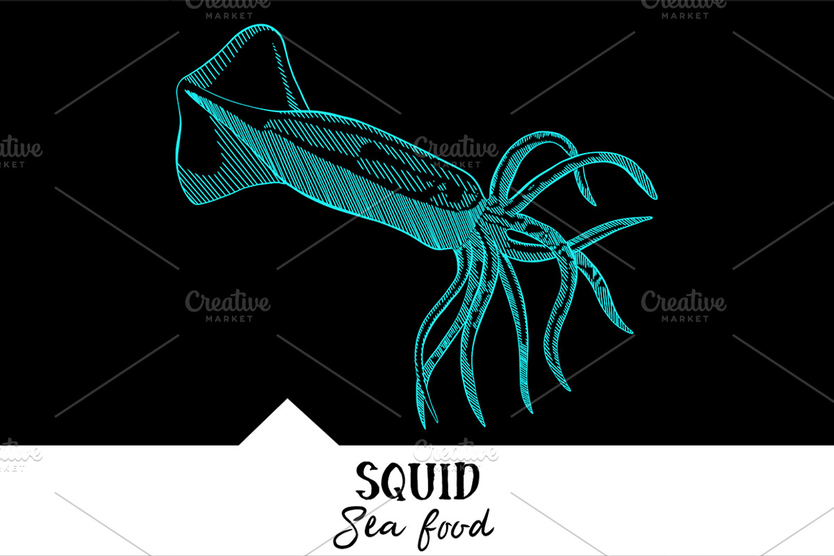 10 vector hand-drawn sea creatures, a Brochure Template by RichmanStudio (Photo 10 of 11)
