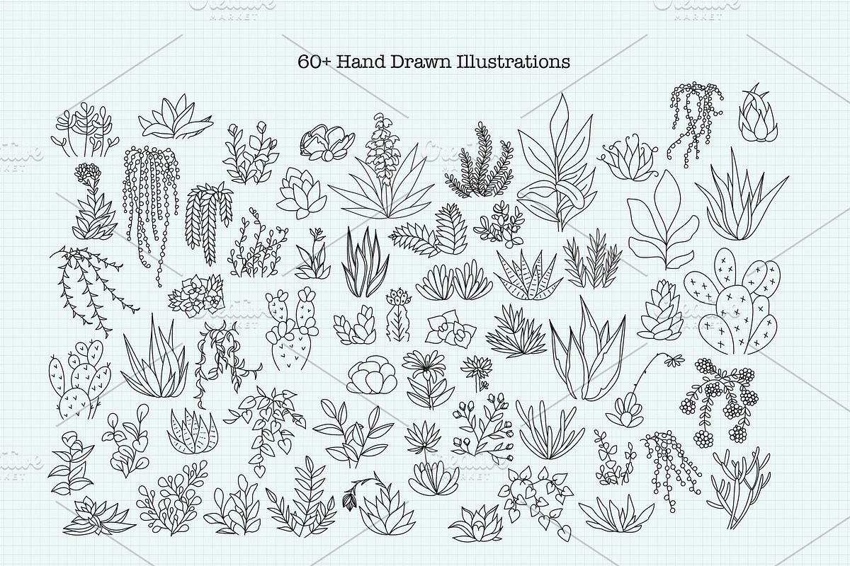 Minimalist Succulent Clipart Bundle, an Illustration by Hannah Eliza Studio (Photo 2 of 6)