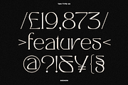 TAN - MIGNON, a Font by TanType (Thumbnail 10 of 17)