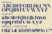 Stronger Feelings Font, a Serif Font by 177Studio (Thumbnail 9 of 9)