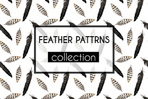 Feather patterns collection