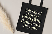 Twilight Vintage Modern Serif, a Serif Font by timelesstype.co (Thumbnail 12 of 20)