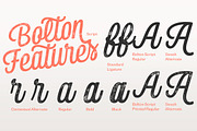 Bolton Font Pack -25% off sale, a Script Font by Fenotype (Thumbnail 10 of 10)