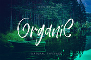 Wild Kogsit, a Script Font by Design Dukkan (Thumbnail 11 of 12)