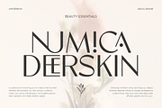 Maroon - Luxury Font, a Sans Serif Font by Umitype (Thumbnail 2 of 10)