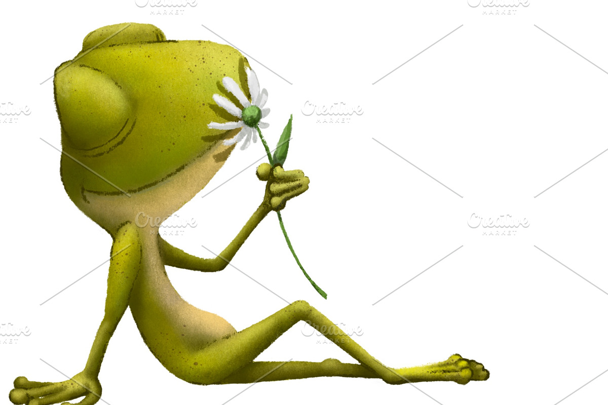 Frogs. Animals illustration, an Animal Illustration by sheincar (Photo 3 of 3)