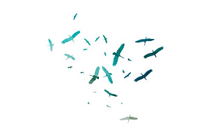 Silhouette of a flock of cranes, an Animal Illustration by Nenahliadava Design