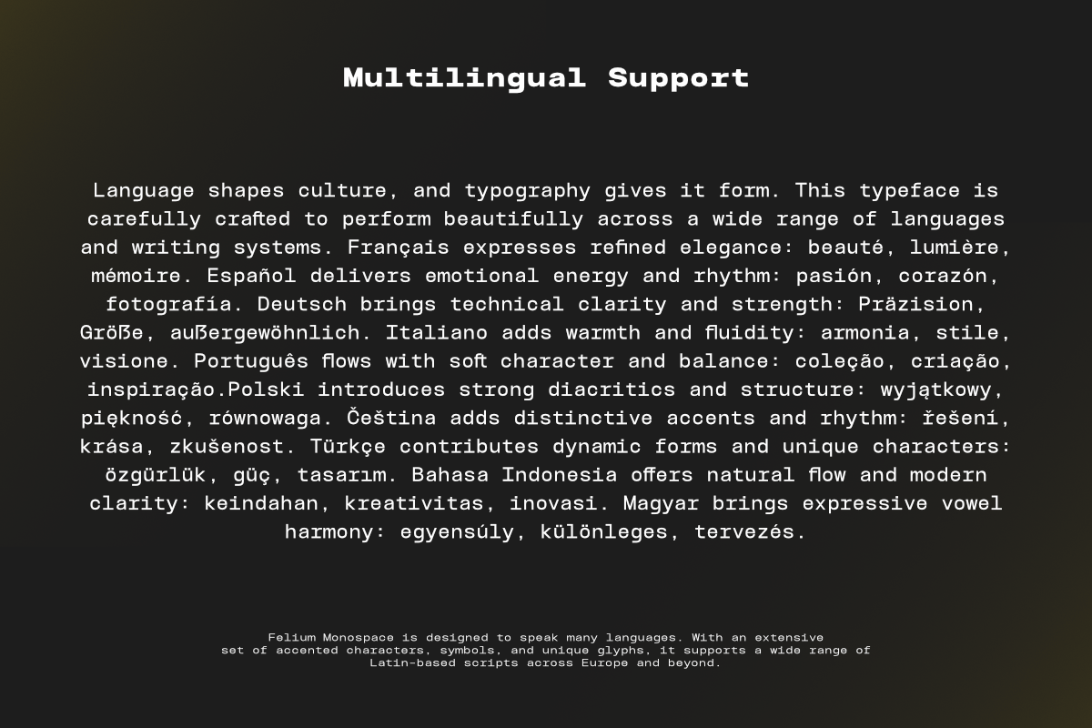 TBJ Felium Monospace Clean Modern, a Sans Serif Font by Taboja Studio (Photo 9 of 15)
