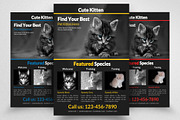Pet Shop Flyer Templets, a Flyer Template by Psd Templates (Thumbnail 1 of 3)