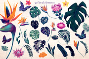 Monstera and Strelitzia watercolor, an Illustration by Salted Galaxy (Thumbnail 8 of 15)