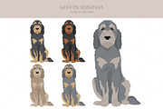 Griffon Nivernais dog clip art, a Background Graphic by pet design shop (Thumbnail 4 of 6)