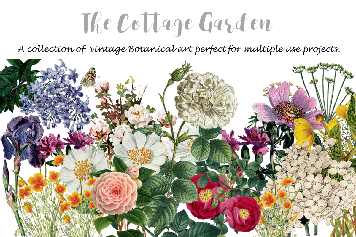 COTTAGE GARDEN BOTANICAL PRINTS, an Invitation Template by Ginger Duck Graphics (Photo 1 of 7)