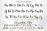 Family Delighful, a Handwritten Font by FreshTypeINK (Thumbnail 4 of 8)