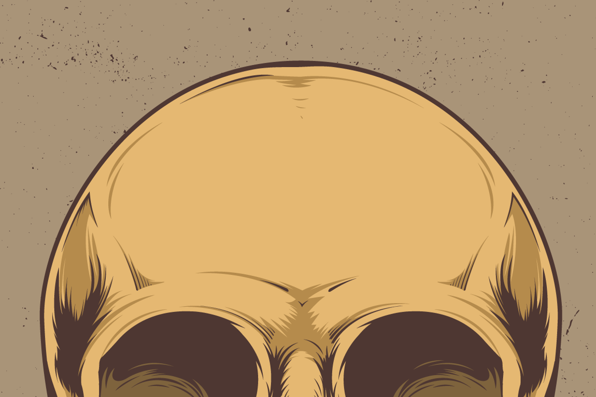 Skull Vector Illustration, an Illustration by kulturrrno (Photo 2 of 4)