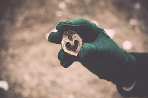 Heart in Hand