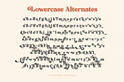 Canastra - Retro Serif, a Serif Font by Ivan Rosenberg (Thumbnail 21 of 23)