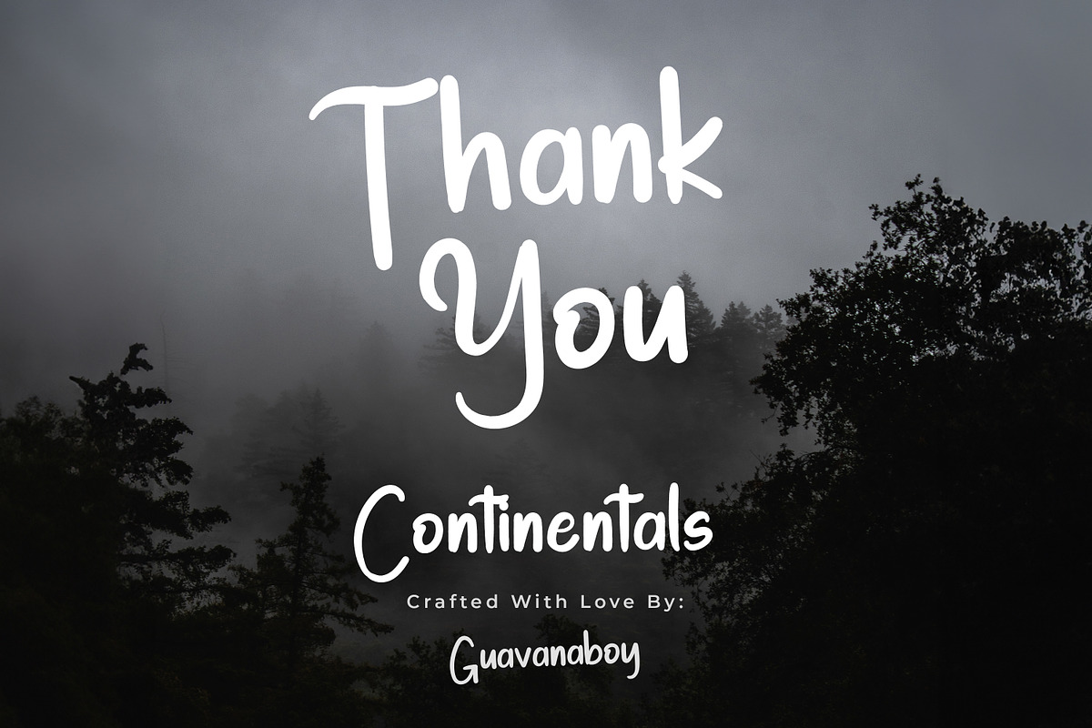 Continentals Modern San Serif Font, a Script Font by Guavanaboy (Photo 8 of 8)
