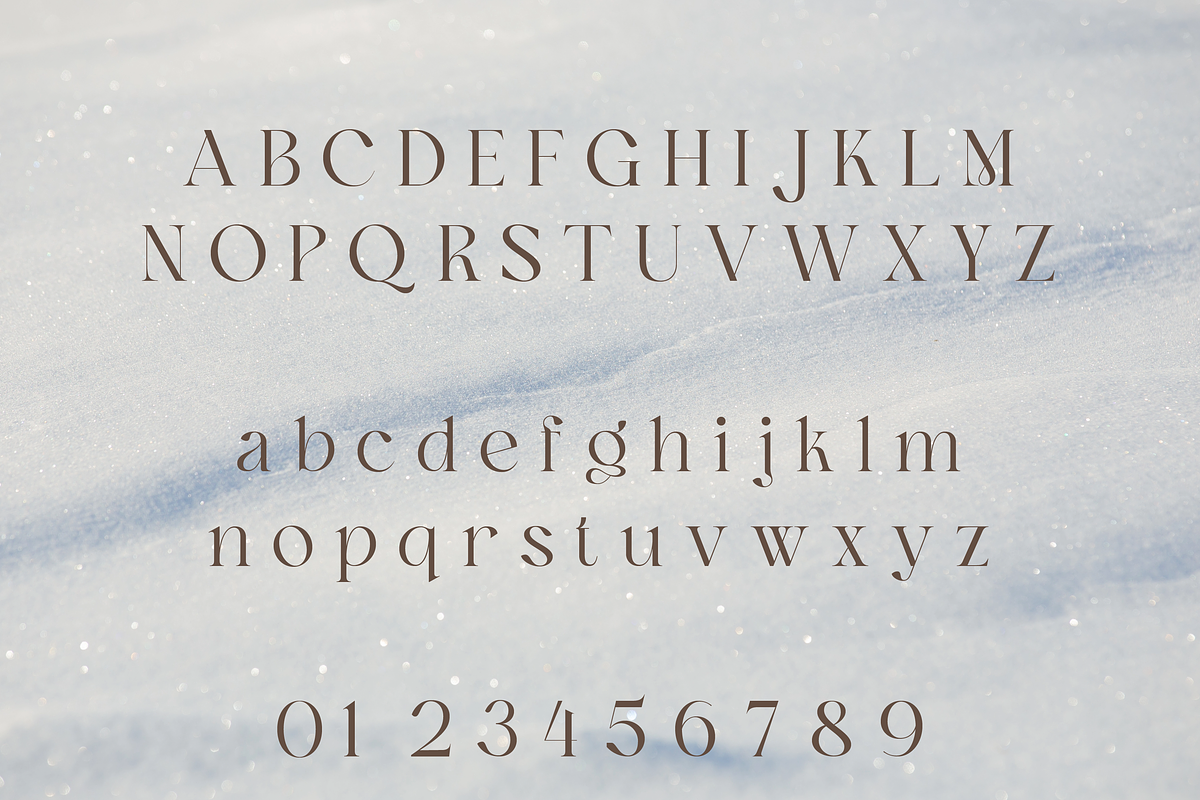 Ankadi Serif, a Serif Font by Creative Foundry (Photo 6 of 8)