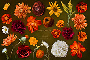 Sunset Floral Art Collection, an Object Graphic by Eclectic Anthology (Thumbnail 16 of 20)