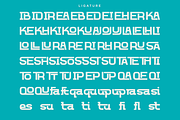 Nefasta - Grotesque Ligature Font, a Font by Say Studio (Thumbnail 10 of 11)