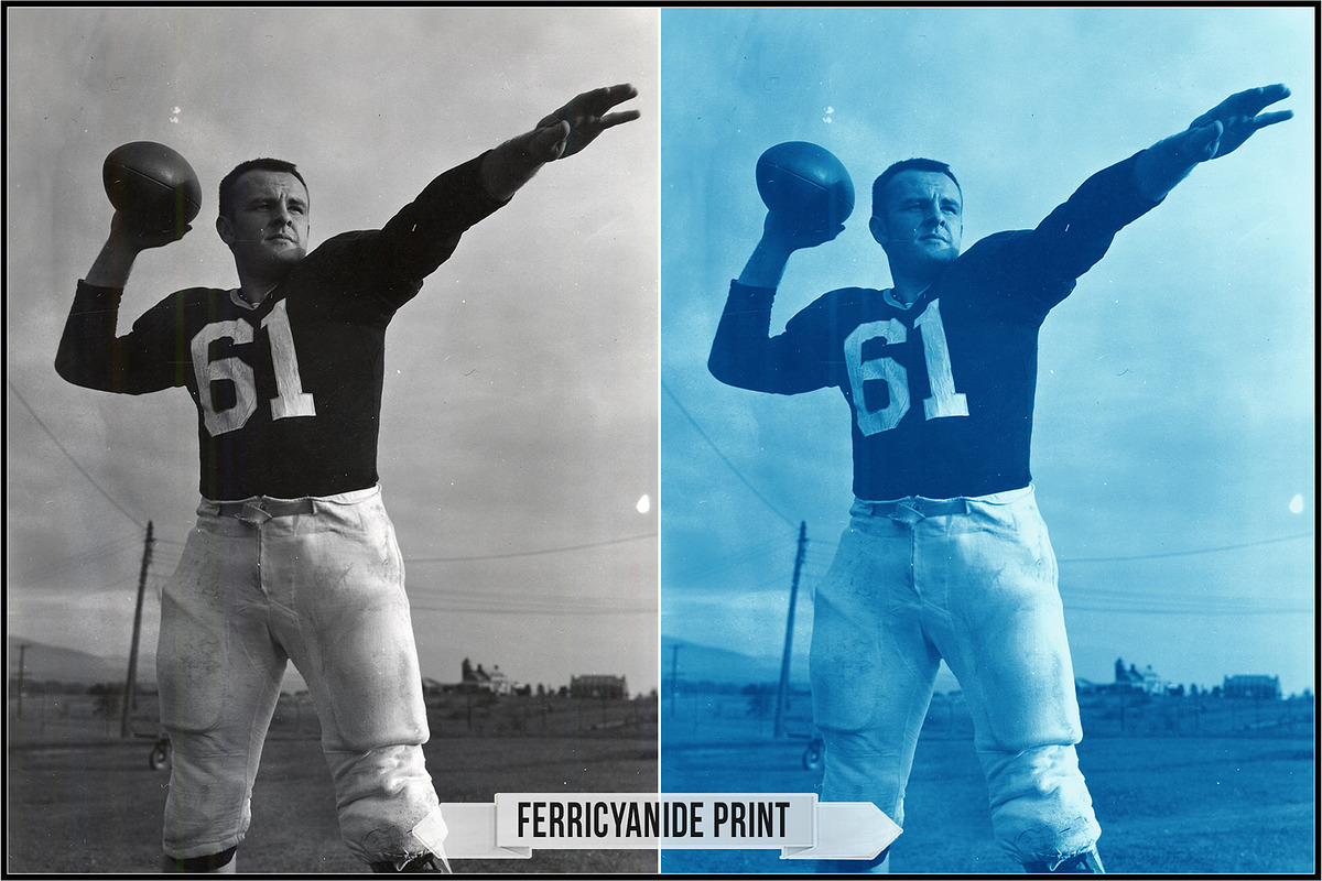 Authentic Cyanotype LUTs, a Plug-in Add-On by Raztrend (Photo 15 of 32)