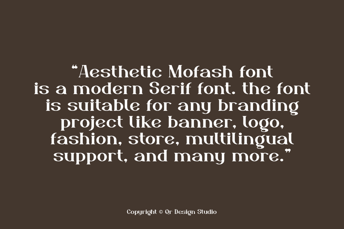 Aesthetic Mofash - Luxury Bold Font, a Serif Font by QR Design Studio (Photo 4 of 13)