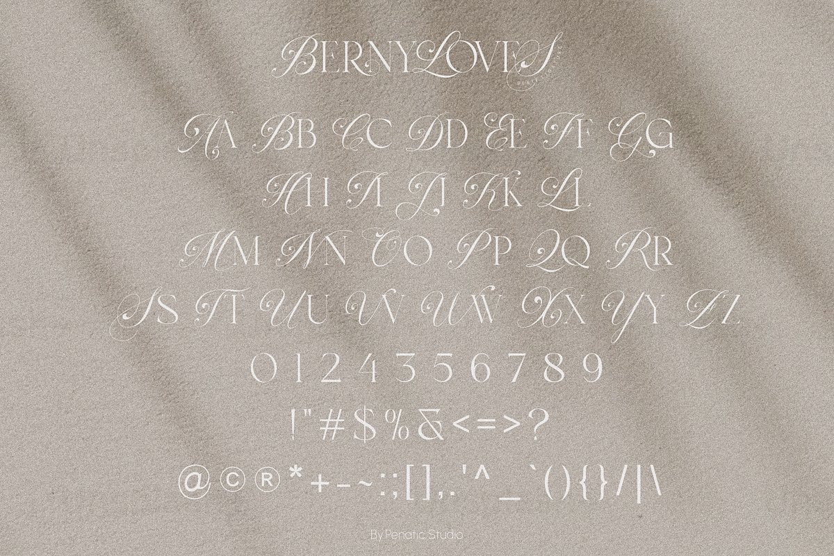 Berny Loves _ Serif Ligature, a Serif Font by Penatic Studio (Photo 10 of 10)