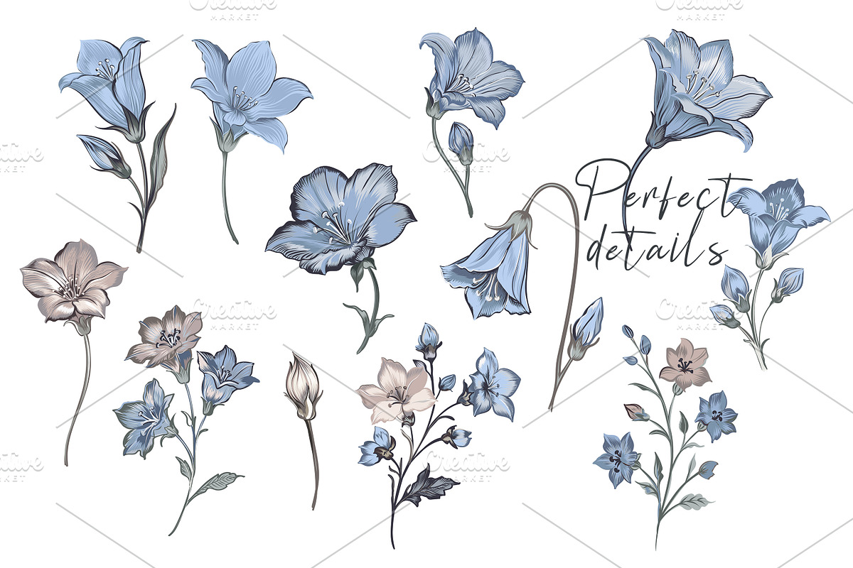 Floral Patterns & Vector Elements, a Decorative Illustration by FleurArt (Photo 5 of 6)