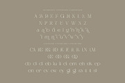 Dagstam - Artistic Serif Font, a Serif Font by Cruzine (Thumbnail 4 of 9)