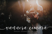 Lemonsalt Sweet Script, a Script Font by FadeLine Studio (Thumbnail 5 of 9)