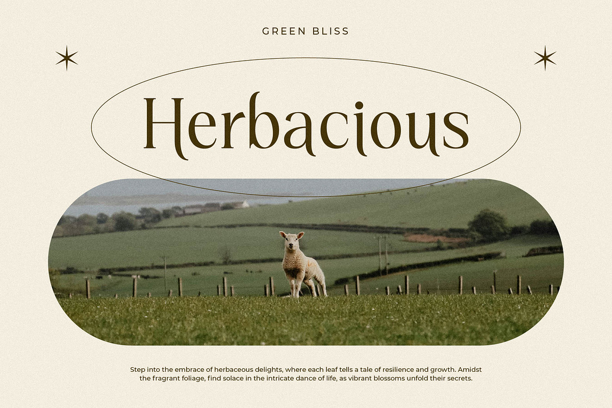 Kiprhany Modern Serif Font, a Serif Font by Letterena Studios (Photo 6 of 15)