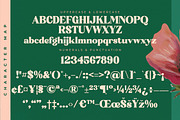 Bright Sunlist Modern Vintage Serif, a Serif Font by Letterena Studios (Thumbnail 13 of 15)