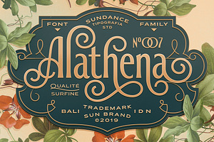 Alathena Font Family, a Font by Sundance Tipografia