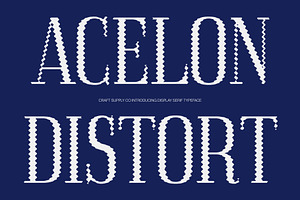 Acelon Distort, a Serif Font by Craft Supply Co.