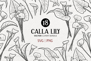 Calla Lily Flower Vector Line Art