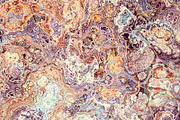 20 marble textures. Beige collection, a Texture Graphic by tkdesign (Thumbnail 18 of 21)