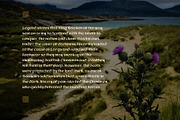 Caledonian, a Font by Loudoun Design Co. (Thumbnail 6 of 6)