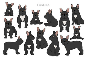 French Bulldog Clipart