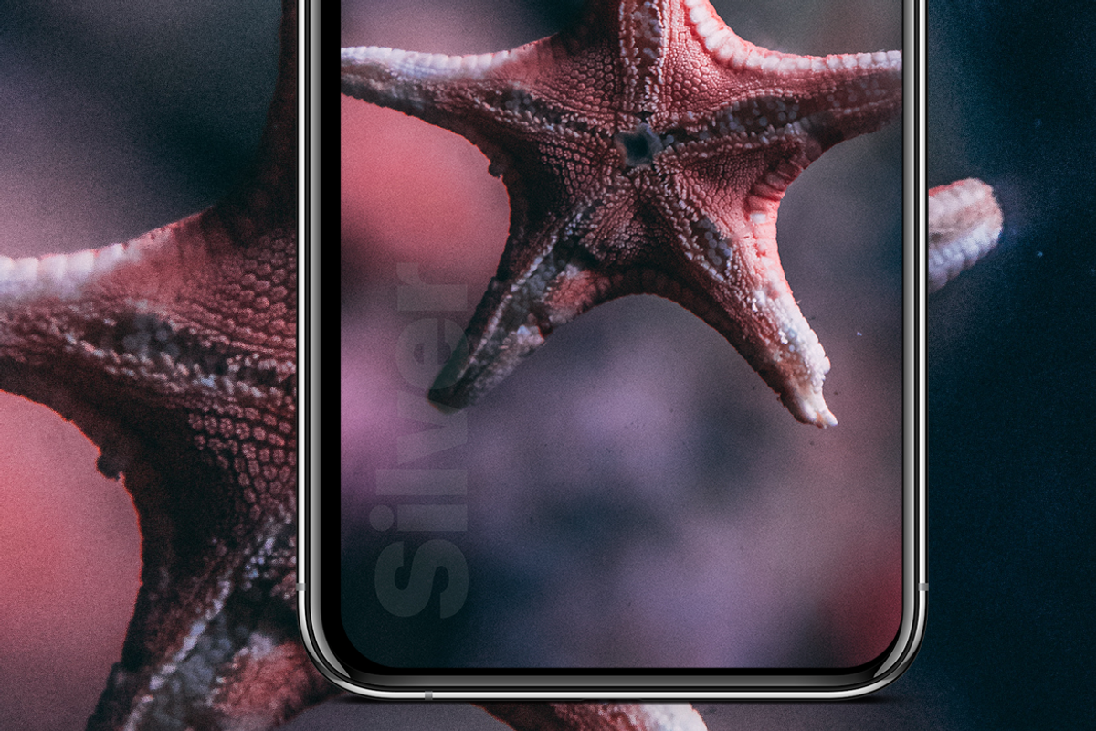 iPhone Xs & Xs Max PSD Mockups, an iPhone Mockup by CreativesCastle (Photo 7 of 7)