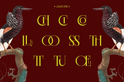 EKGIERO — Elegant Luxury Serif Font, a Serif Font by Enxyclo Studio (Thumbnail 21 of 21)