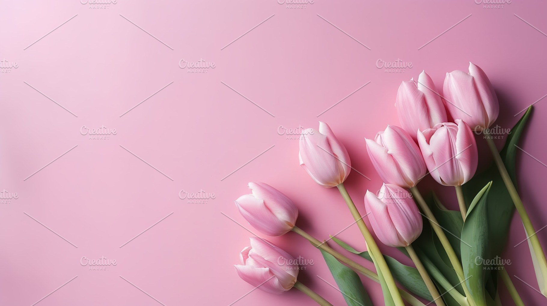 colorful tulip background, a Nature Photo by Virgo Studio