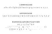 Pelagic Bird - Unique Ligature Font, a Serif Font by Yahya Type (Thumbnail 21 of 22)
